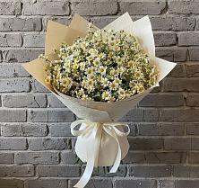Букет цветов из:  Ромашки #REPLACE_PRED# Мищенском
