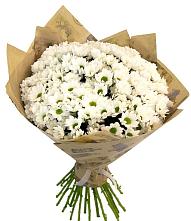 Букет цветов из:  Хризантемы #REPLACE_PRED# Мищенском