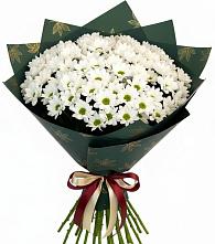 Букет цветов из:  Хризантемы в Мищенском