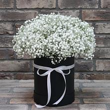 Цветочная композиция из Гипсофила в шляпной коробке в Мищенском