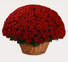 Премиум букет из: Розы в Мищенском